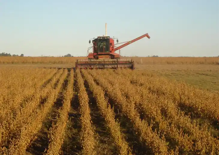 Por la lluvia, se demora la siembra de soja
