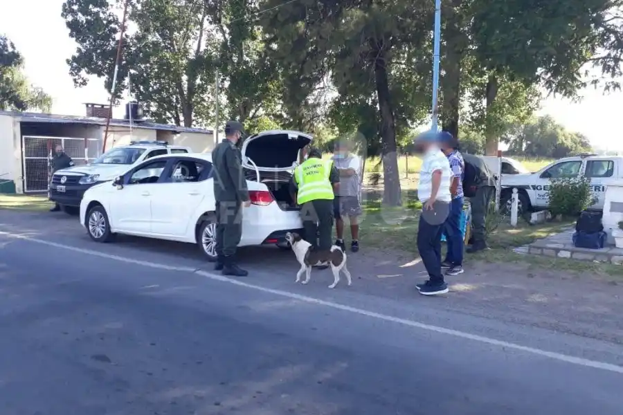 Narcoremisero de Rafaela con ocho kilos de cocaína en bolsas de papas: fue condenado  a prisión
