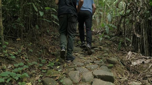Pidieron domicilio en una finca y les llegaron 5 delincuentes