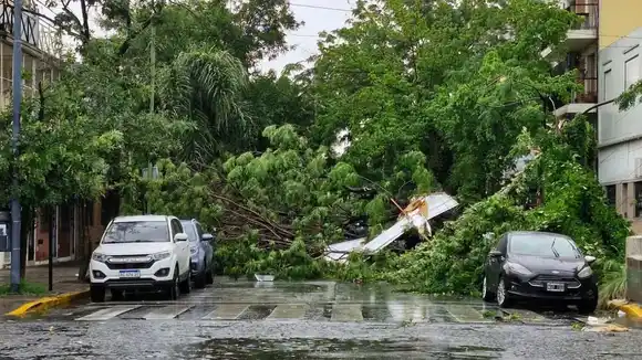 El Gobierno Nacional decretará tres días de duelo por el trágico temporal en Bahía Blanca
