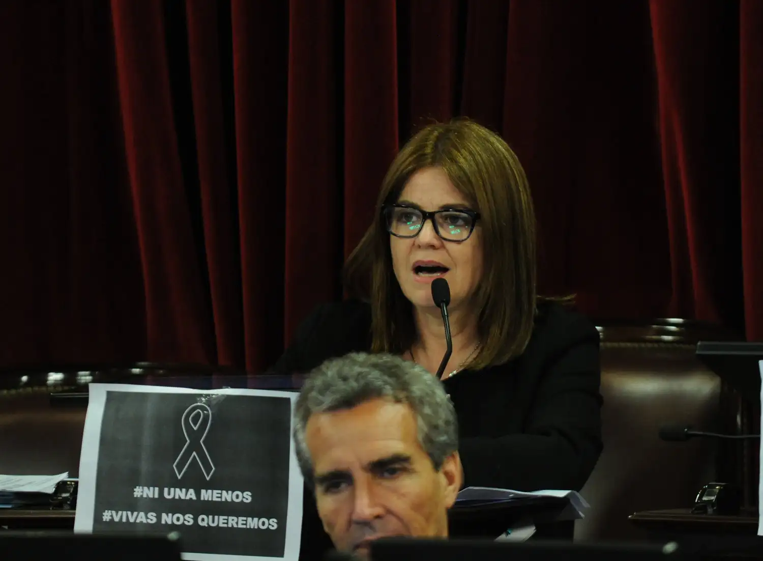 Media sanción al proyecto que suspende la probation en casos de violencia de género