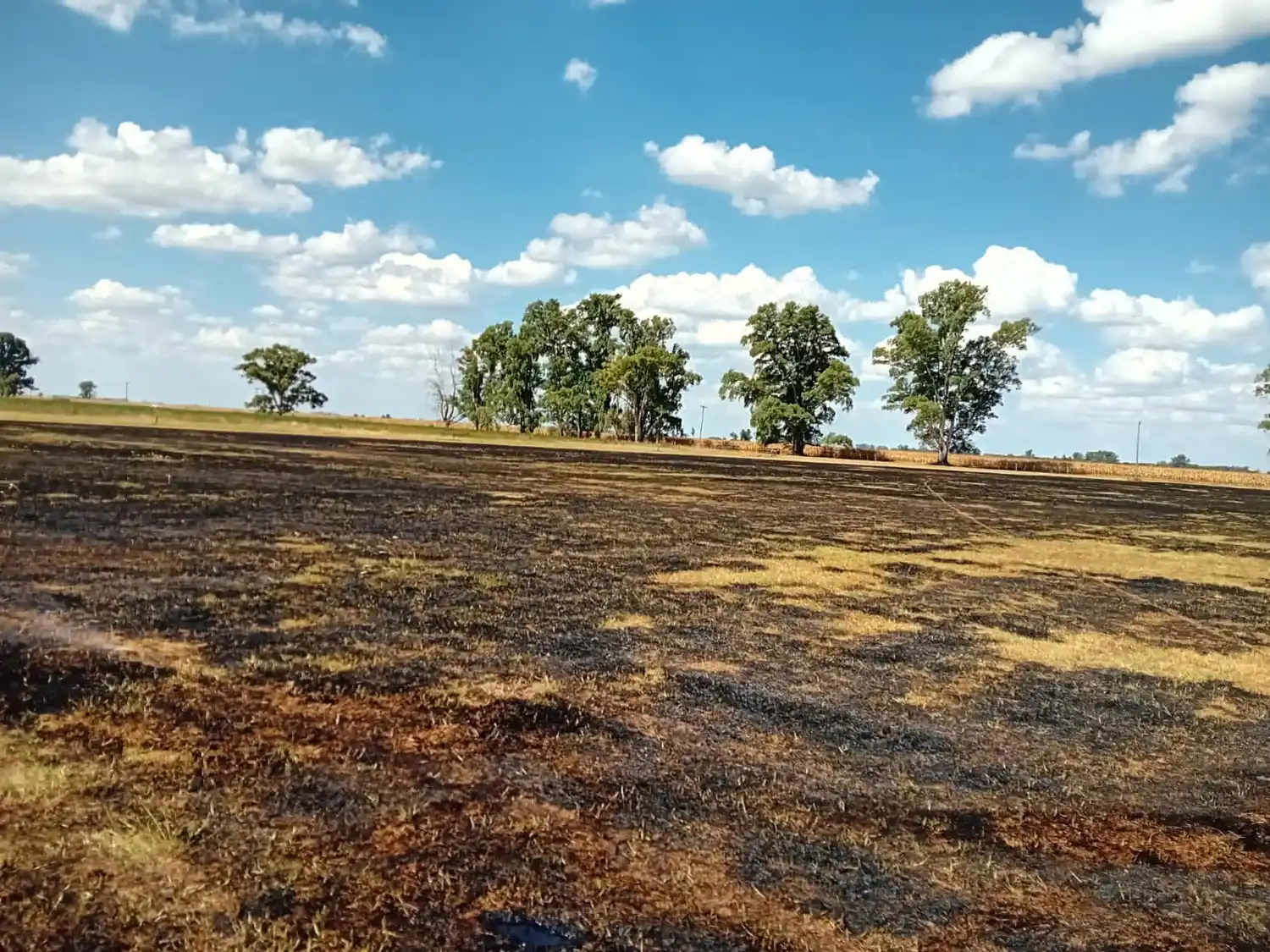 Bomberos Voluntarios de Gualeguay advierten por riesgo extremo de incendios y piden conciencia a la población