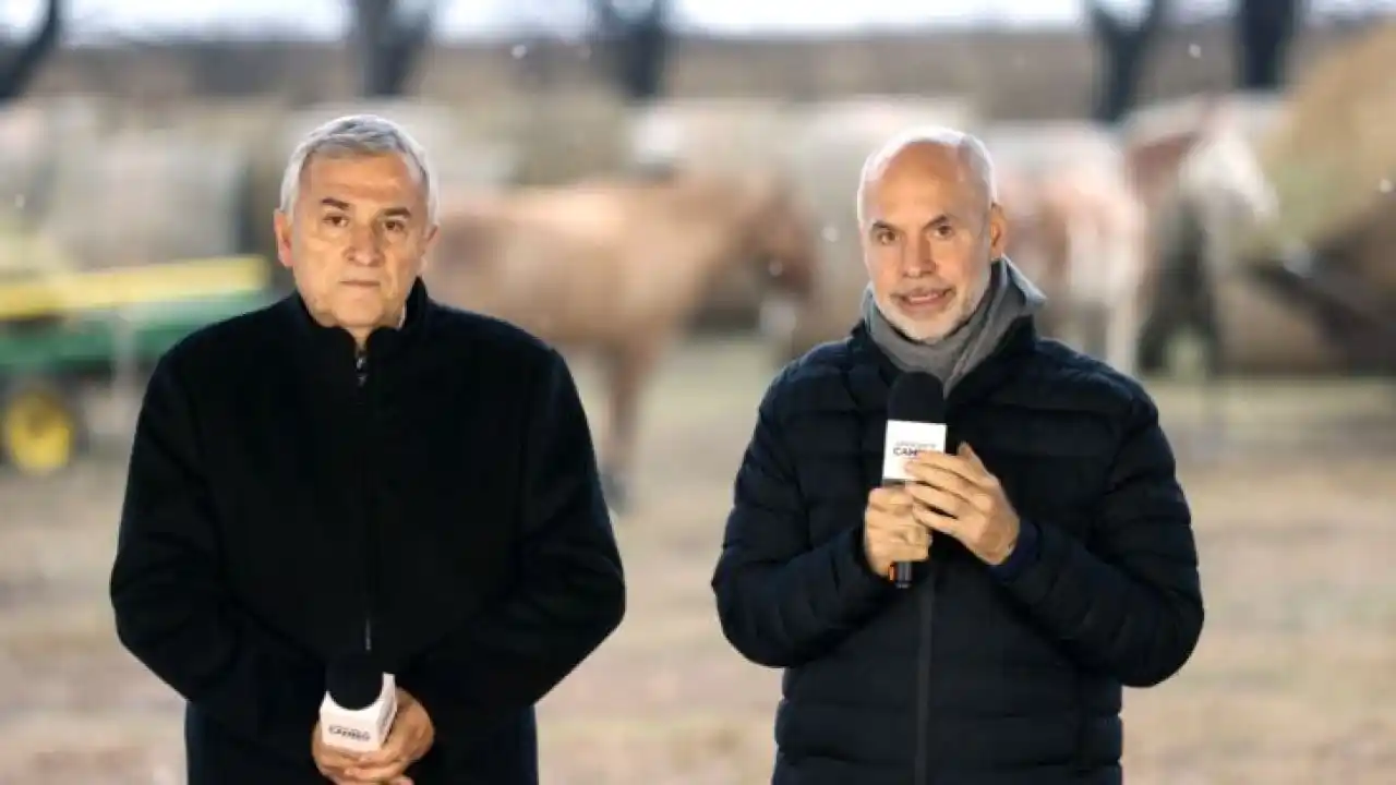 Larreta le respondió a Macri: “Necesitamos leyes y las leyes se votan por mayoría”