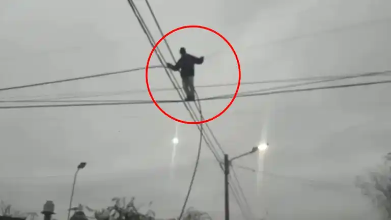Un ladrón se trepó a un poste de luz e hizo equilibrio a gran altura para robar