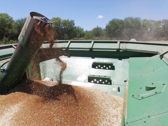 La Región Centro representa el 20% de la economía nacional