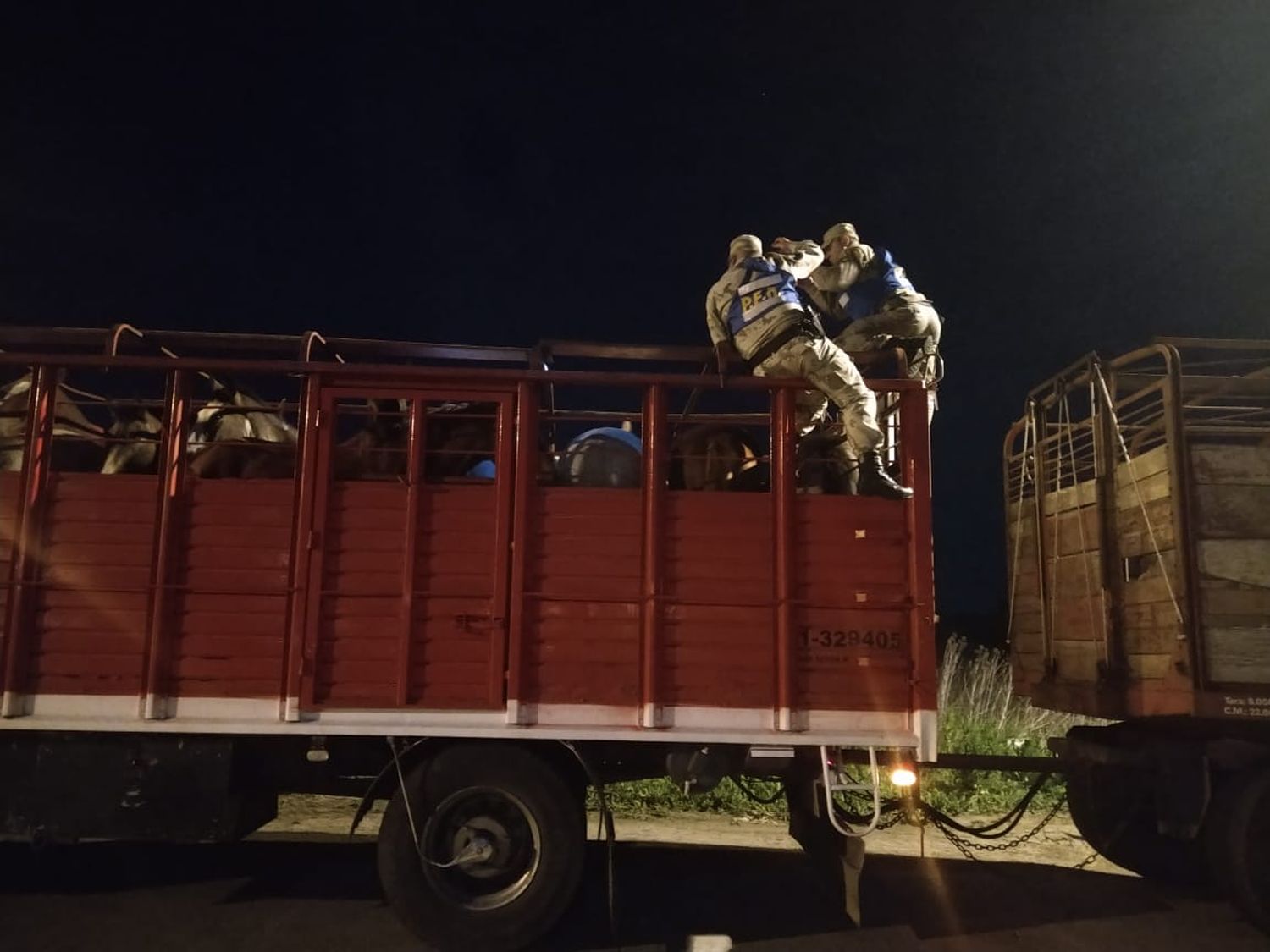 Secuestraron 11 caballos que estaban siendo transportados de manera ilegal