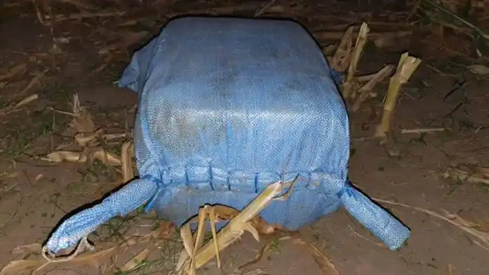 Más de 200 kilos de cocaína arrojados de una avioneta