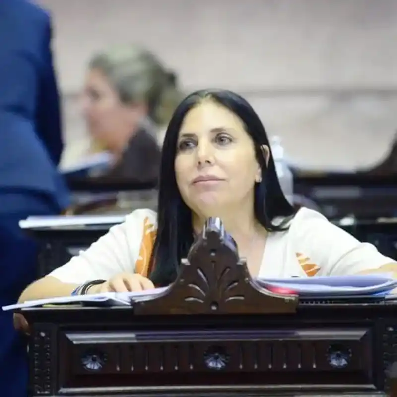 Diputada Lena: “Cuando roban al Estado, están robando una ayuda a una familia que no tiene para comer”