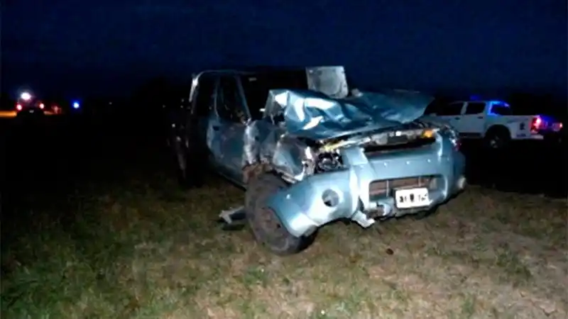 Una camioneta chocó contra un caballo que se le atravesó por la ruta