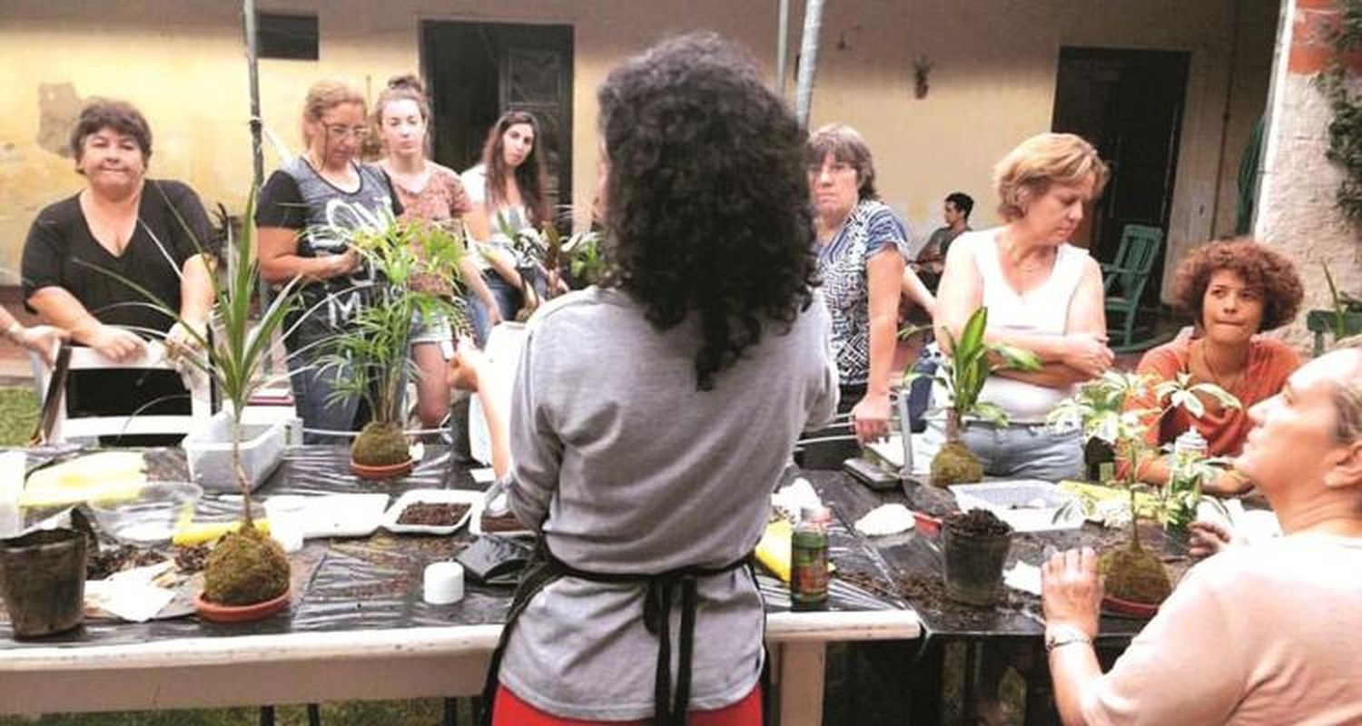 Talleres en Casa Raíz