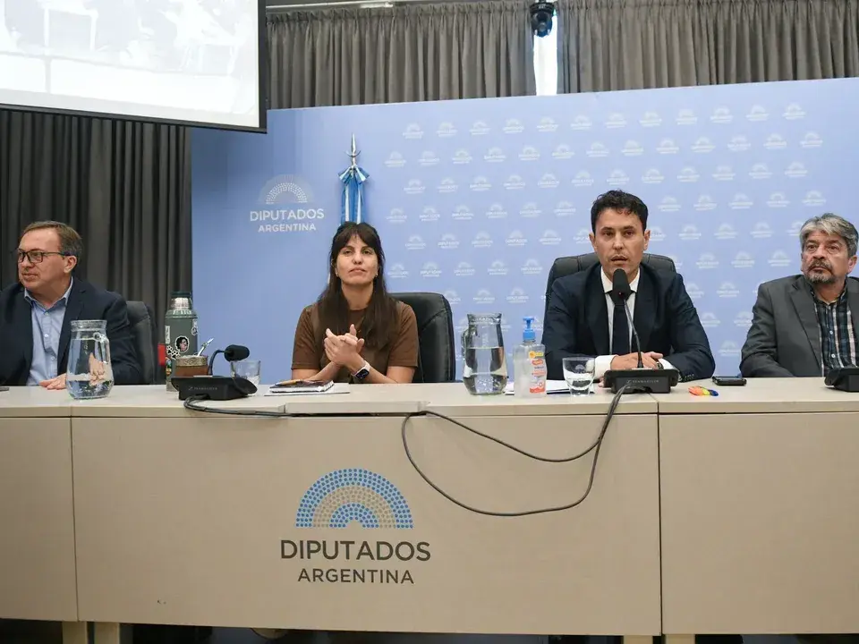 La Comisión de Deportes d e la Cámara de Diputados recibió a deportistas y atletas para hablar de la fuerte crisis que sufre el deporte argentino. Foto: Diputados TV