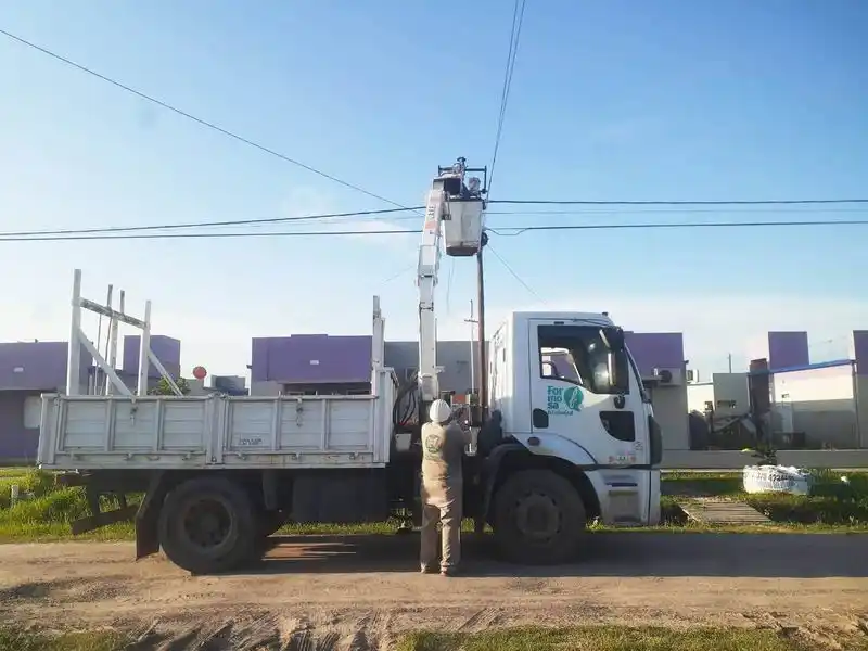 Cuadrillas municipales trabajan en el 
mantenimiento del alumbrado público