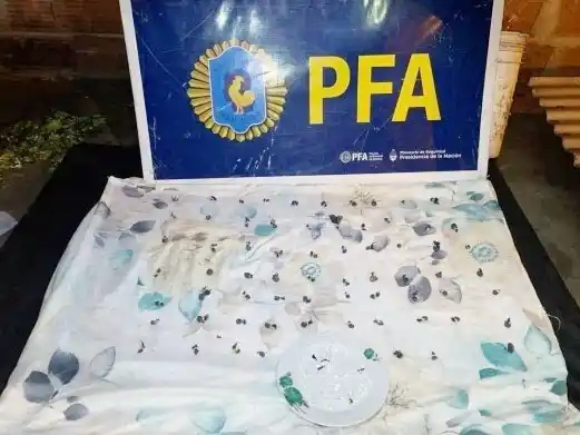 Detuvieron a dos personas por narcomenudeo en Concordia