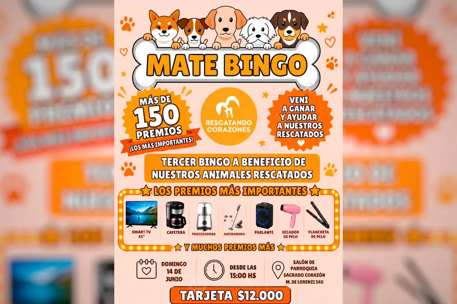 Sumate al matebingo solidario de "Rescatando Corazones" para ayudar a animales rescatados: "Es para pagar veterinarios"