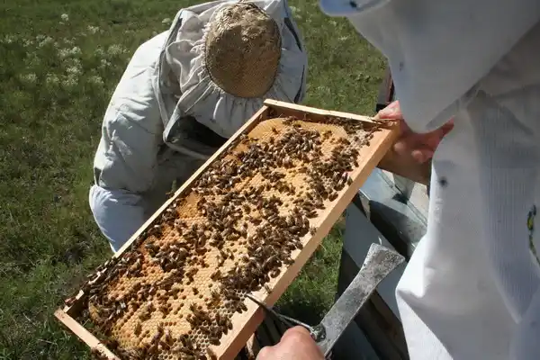 Nueva línea de crédito para el desarrollo de emprendimientos productivos vinculados a economías regionales