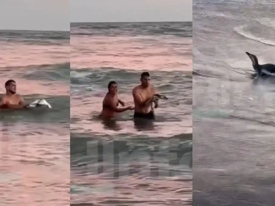 Indignación en Monte Hermoso.