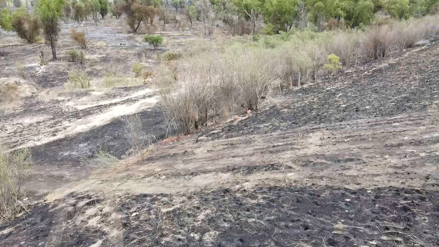 Entre Ríos prohíbe quemas en zonas rurales y forestales debido al alto riesgo de incendios