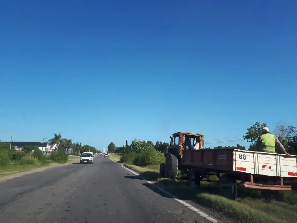 Bacheo 1001 con tosca