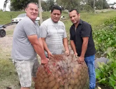 Alejandra: pescaron una raya de 85 kilos