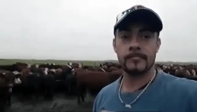 El relato de un productor trabajando en cuarentena y con el campo embarrado
