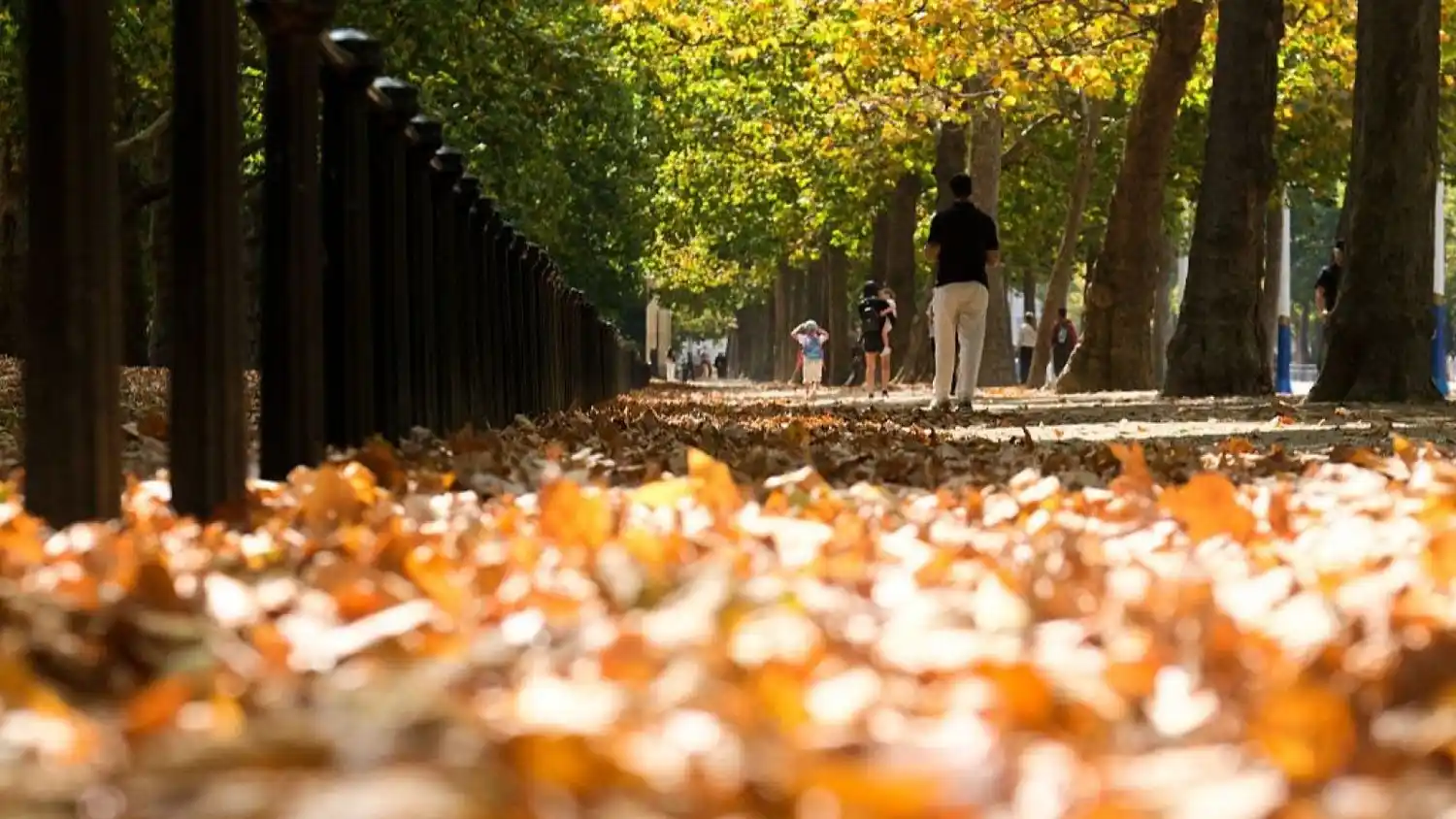 Los especialistas recomiendan mantener rutinas, exponerse a la luz natural y realizar actividad física para mitigar los efectos.