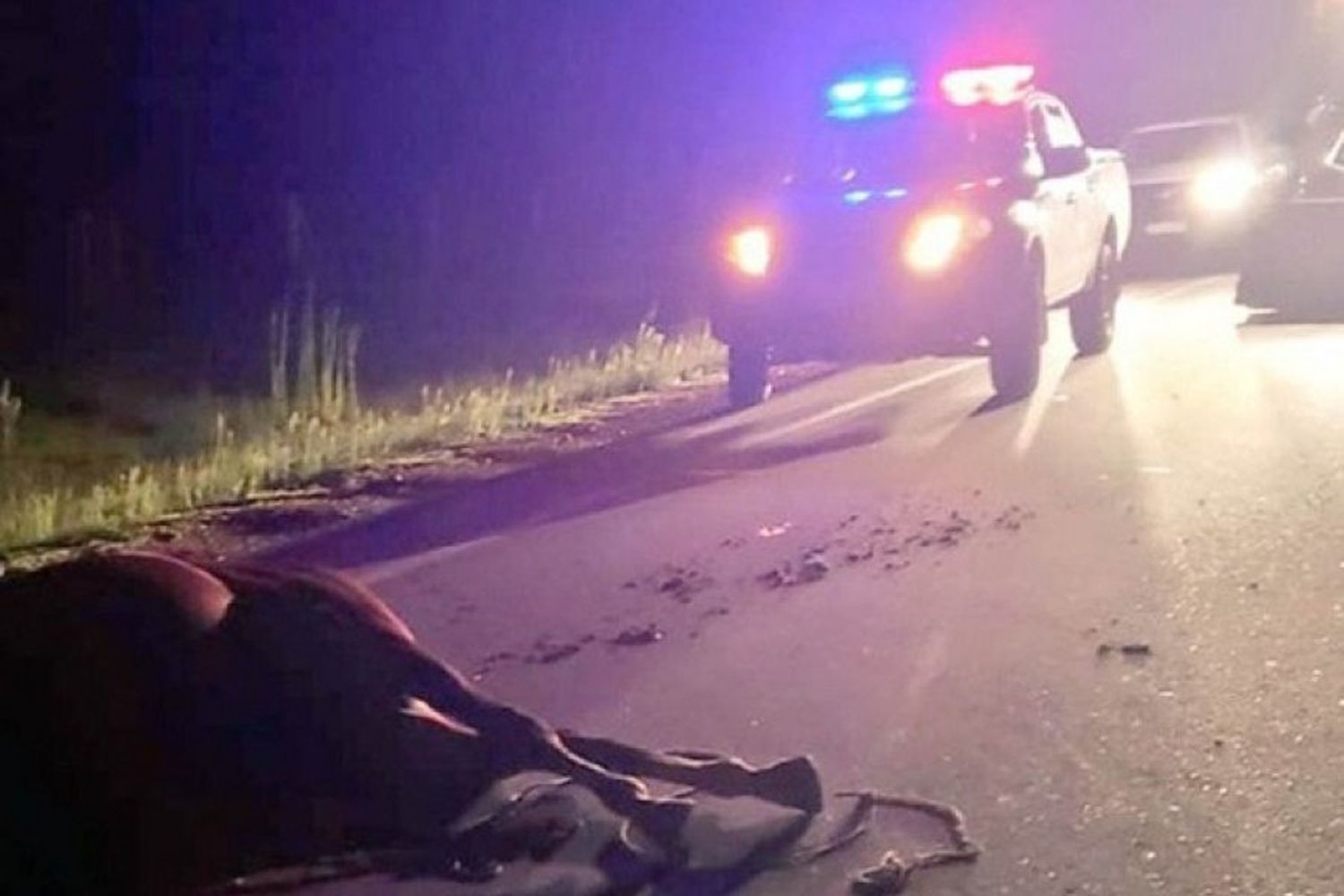 Sobre Ruta Nacional 34, chocó contra un caballo y al animal perdió la vida