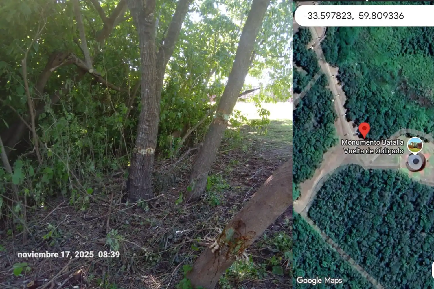 quique sierra nativas vuelta de obligado