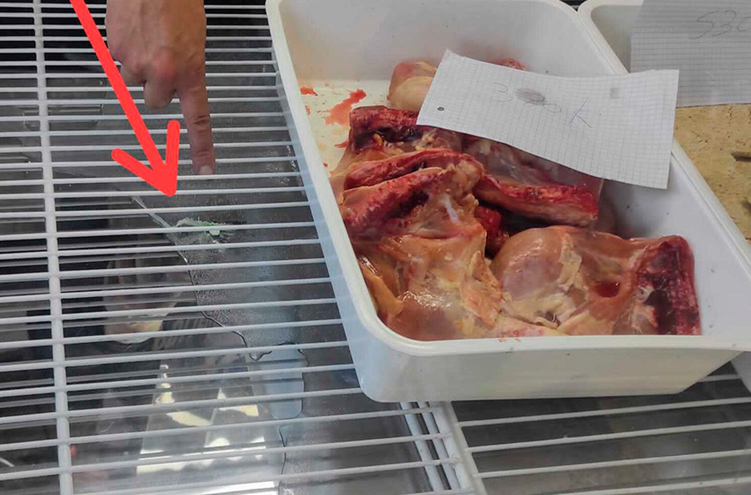 Ocultaban la cocaína abajo de las bandejas de pollo en un almacén