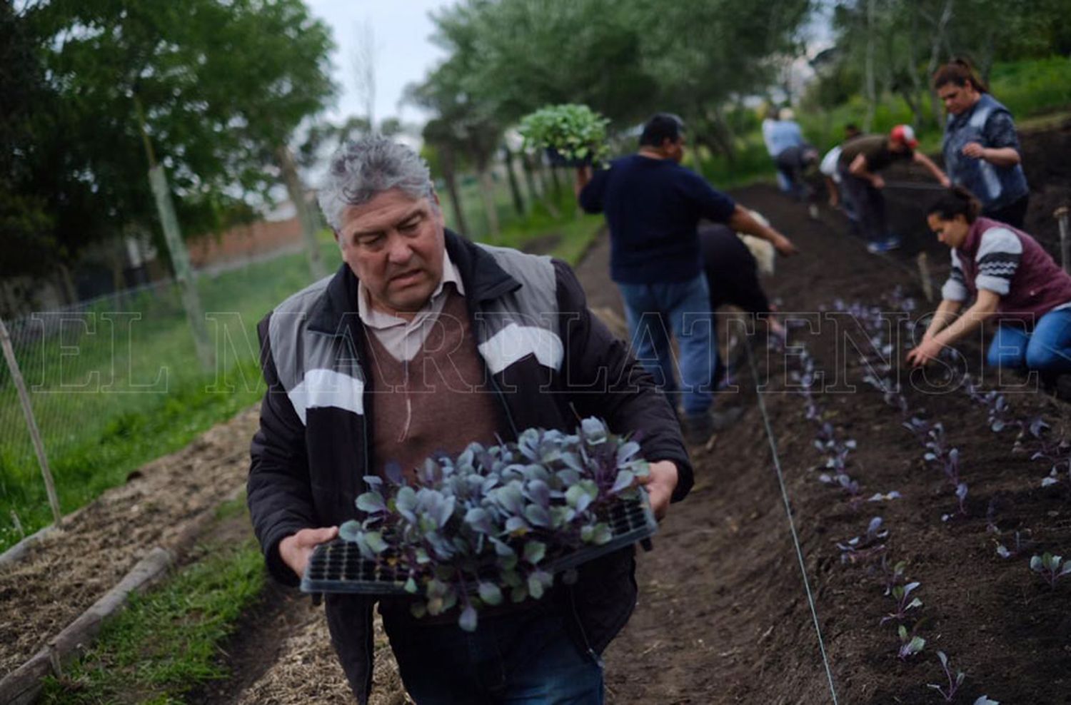 La huerta comunitaria de Camet, destinada a un comedor y a "todos los que necesiten"