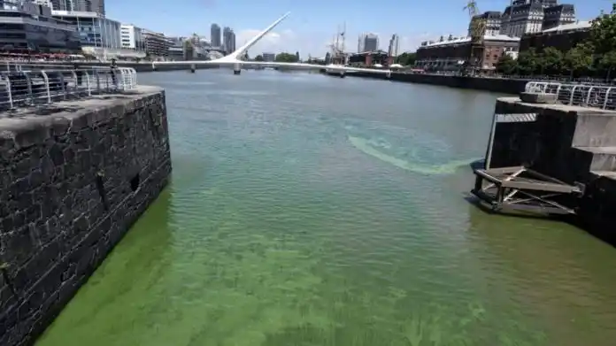 Salud advierte por presencia de cianobacterias en aguas recreativas del territorio bonaerense