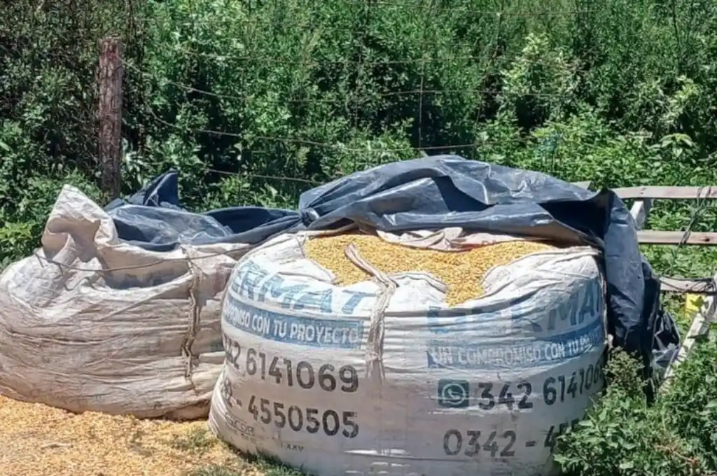 Parte de la carga robada al tren que fue recuperada. Foto: Gentileza