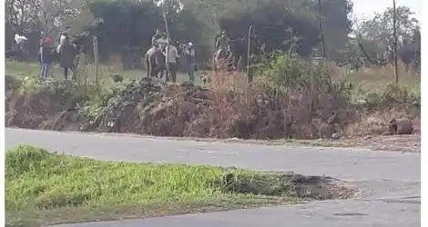 Reporte: “No les importa nada”