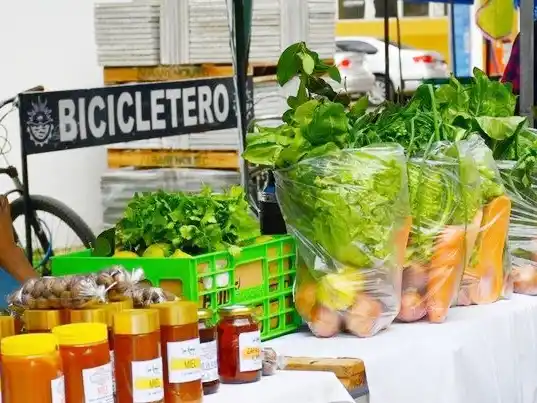 Feria de emprendedores de la economía social