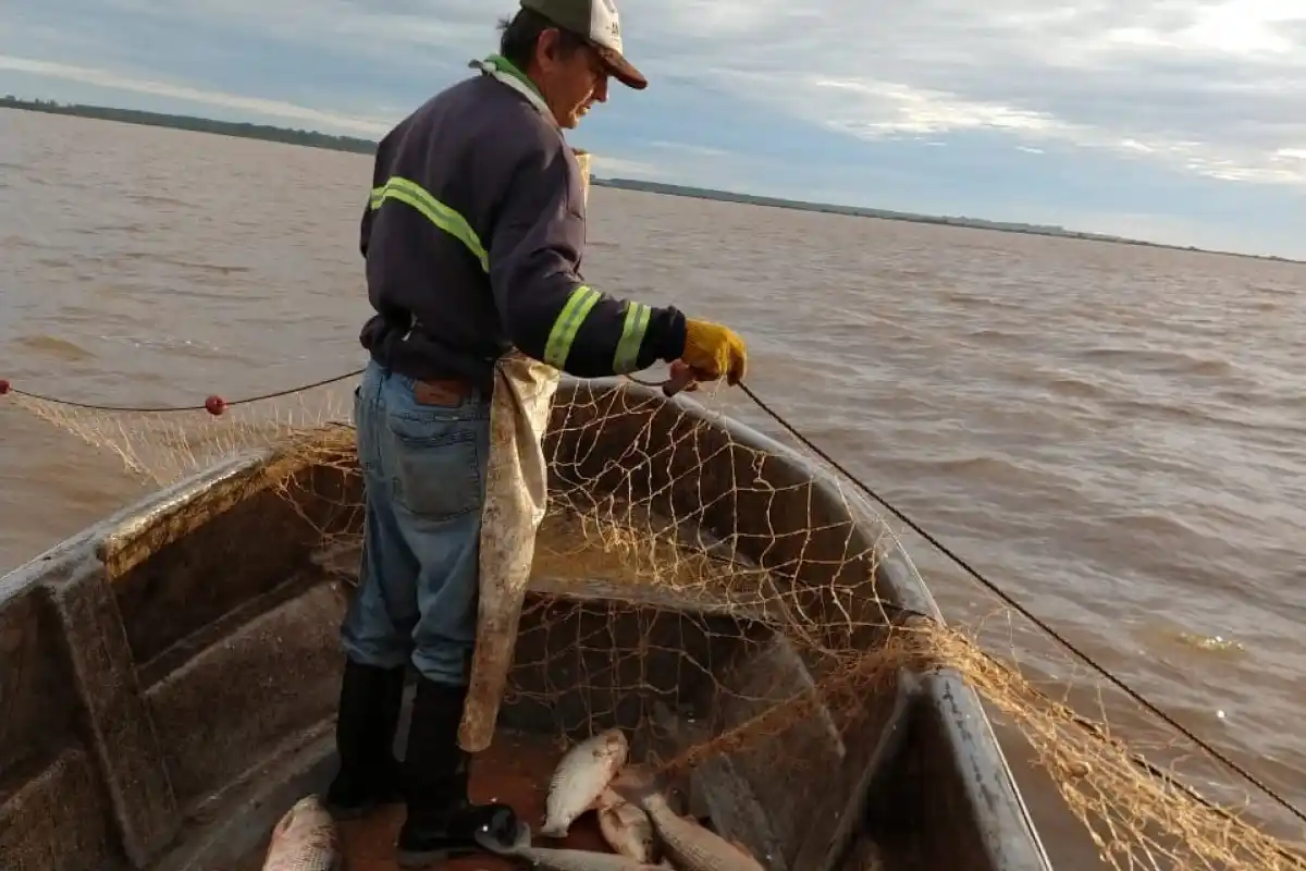 Pescadores artesanales de la ciudad ahora cuentan con carnet sanitario