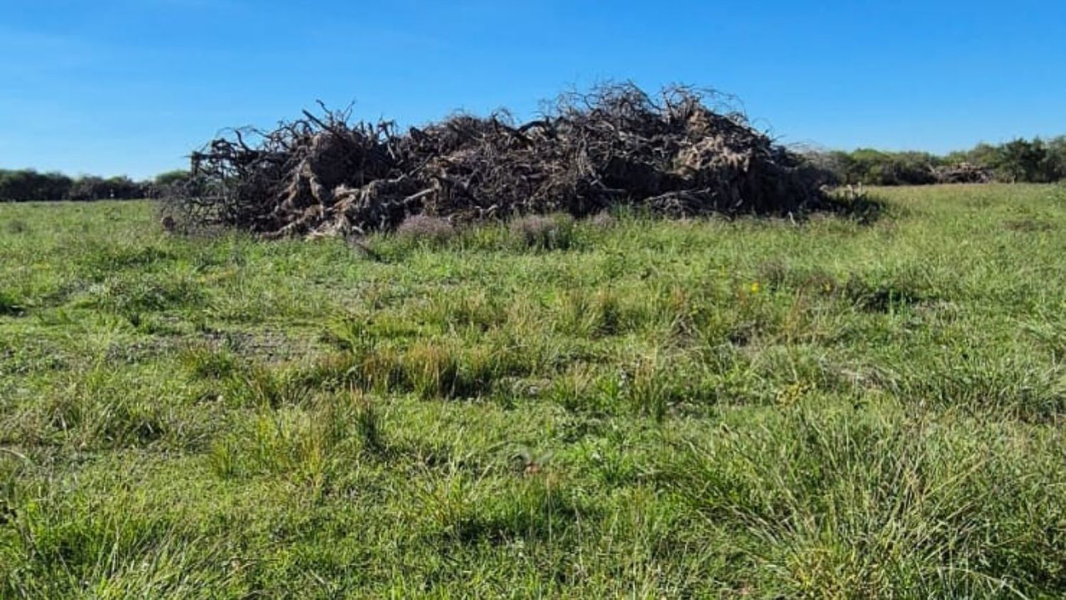 Causa por desmontes: denuncian “graves irregularidades” en el dictamen pericial