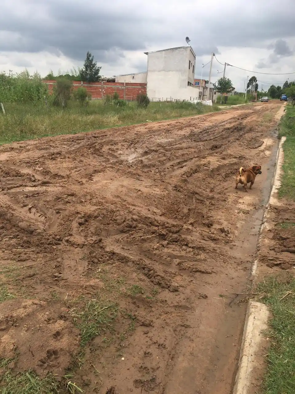 Un cordón cuneta obstaculizado transforma una calle en una pesadilla cada vez que llueve