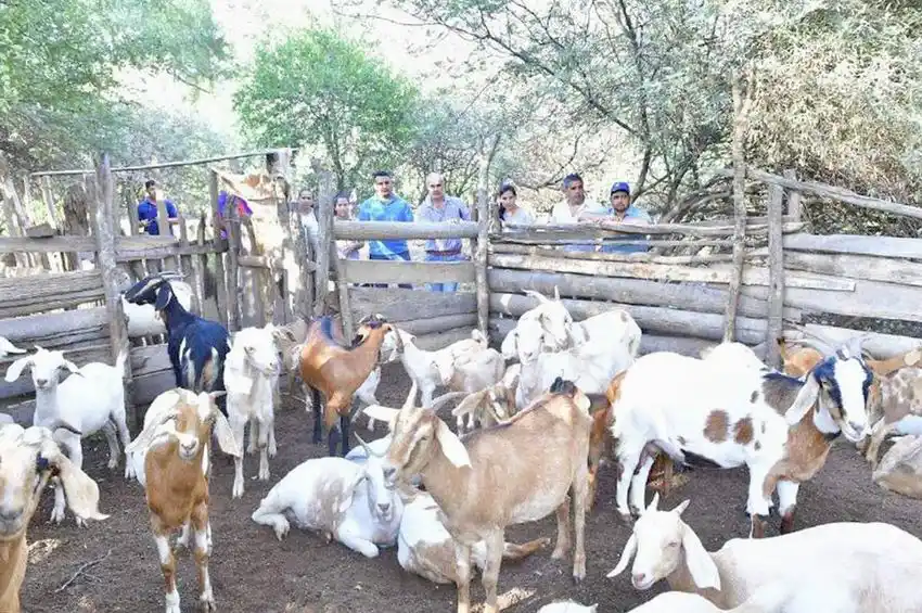 El Gobierno trabaja en la conformación de 
nuevas asociaciones de pequeños productores