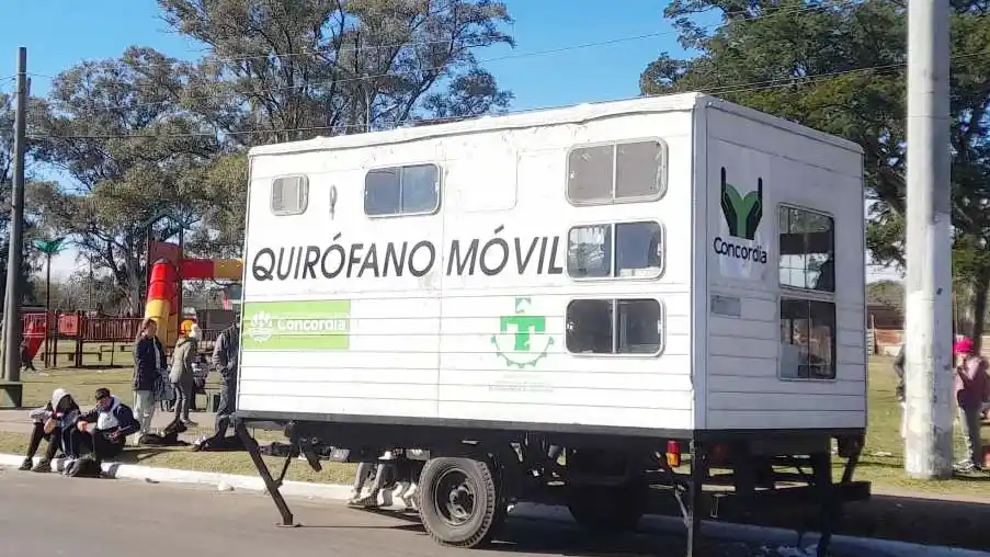 Mascotas: programa de esterilizaciones en el barrio Carretera La Cruz