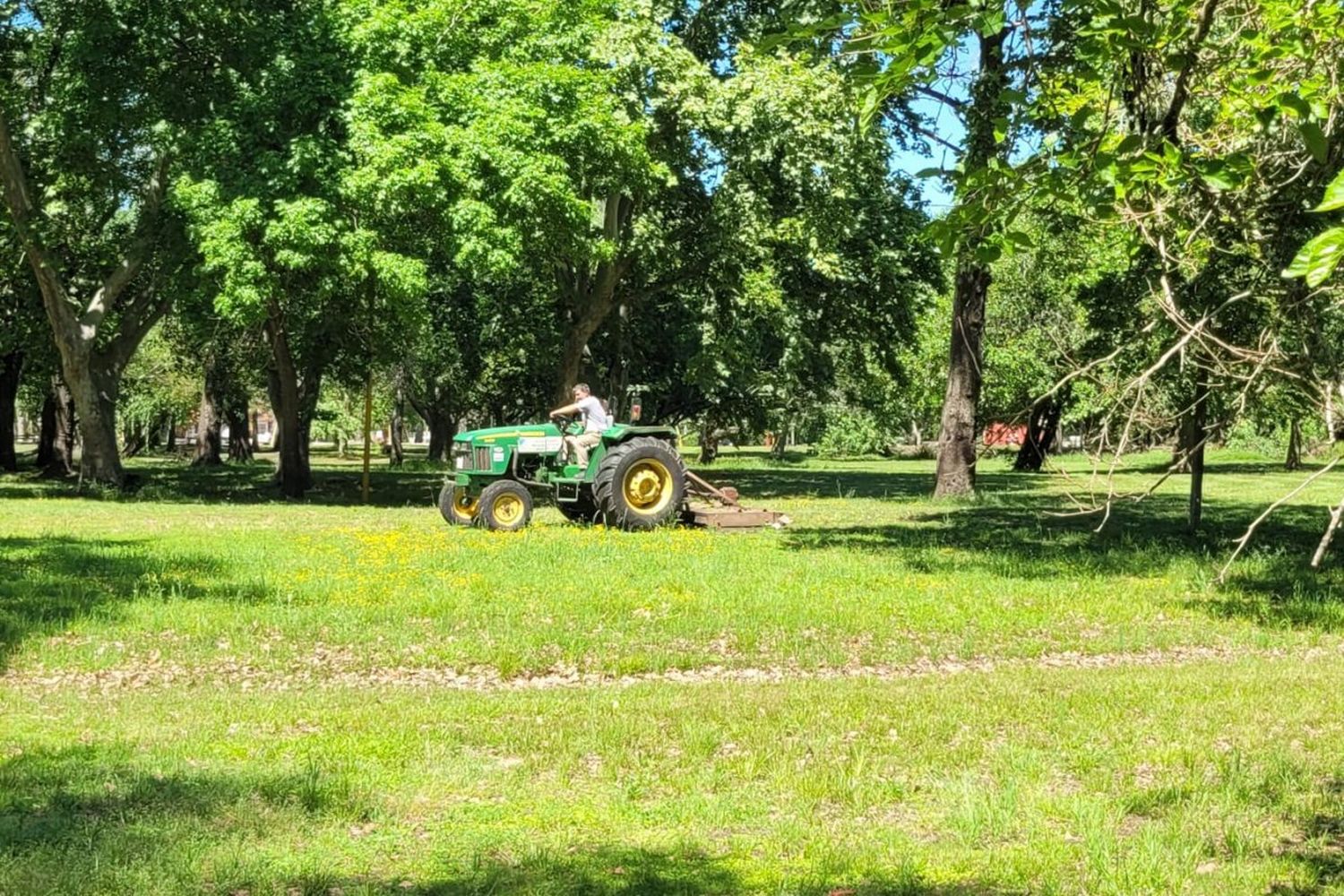 Realizan trabajos de mantenimiento y prevención en el Parque Unzué