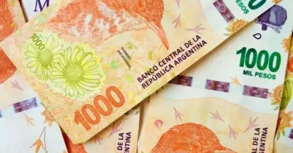 Programa Alimentario PAMI: Anuncian un bono de $10.000 para más de un millón de jubilados mayores de 80