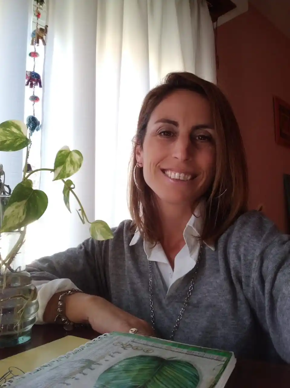 ¿Como es el proceso de orientación vocacional?