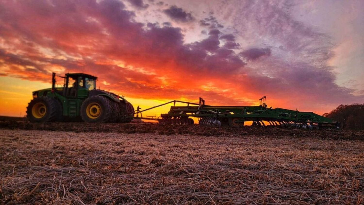 Corn Abundance Meets Financial Hardship for U.S. Farmers