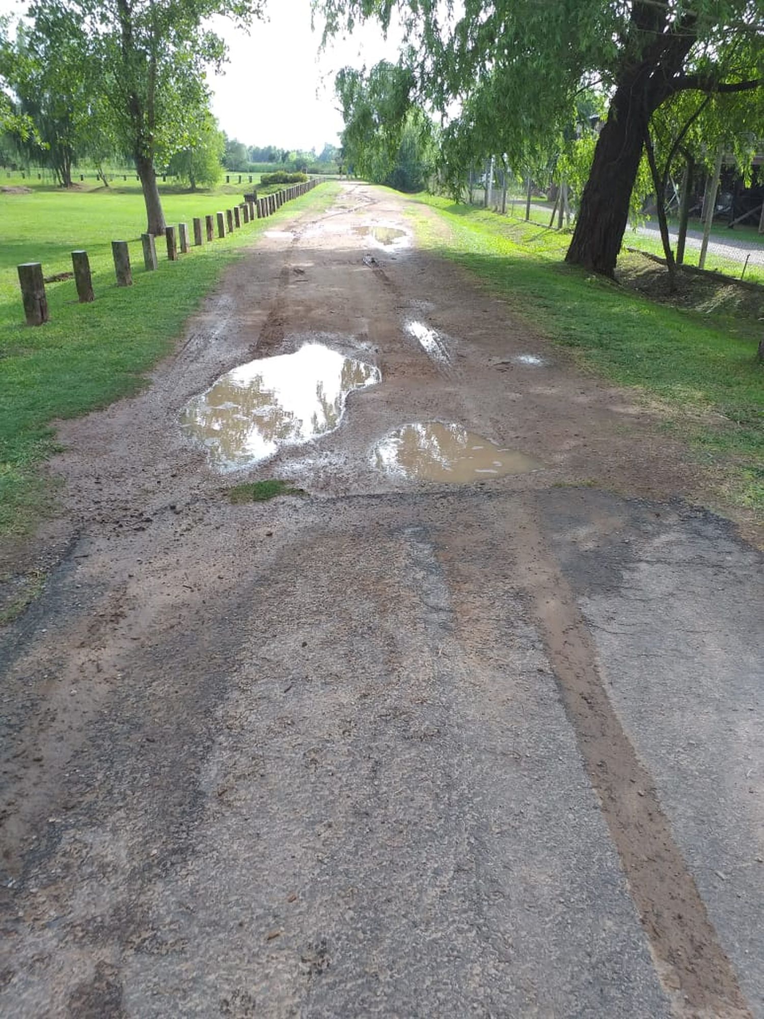 Paseo Público II: queja por los “tremendos pozos”