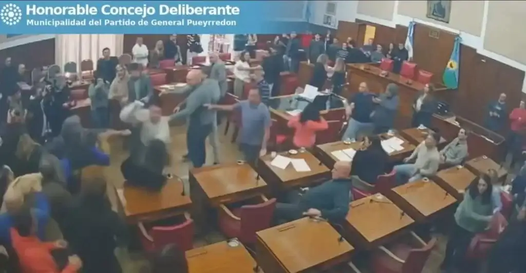 Incidentes y golpes en el Concejo Deliberante de Mar del Plata