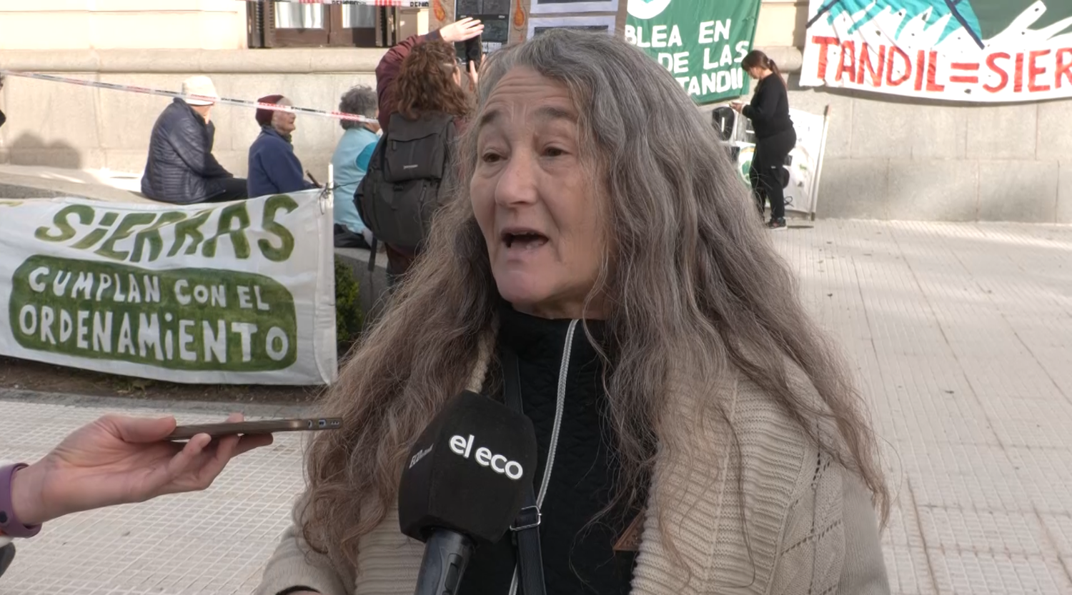 ana fernandez asamblea