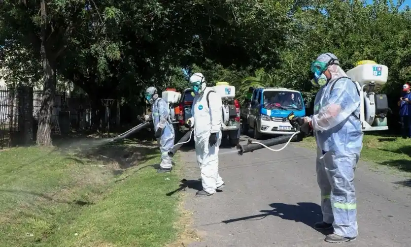 Pilar ya superó los 500 casos de dengue y continúa en brote