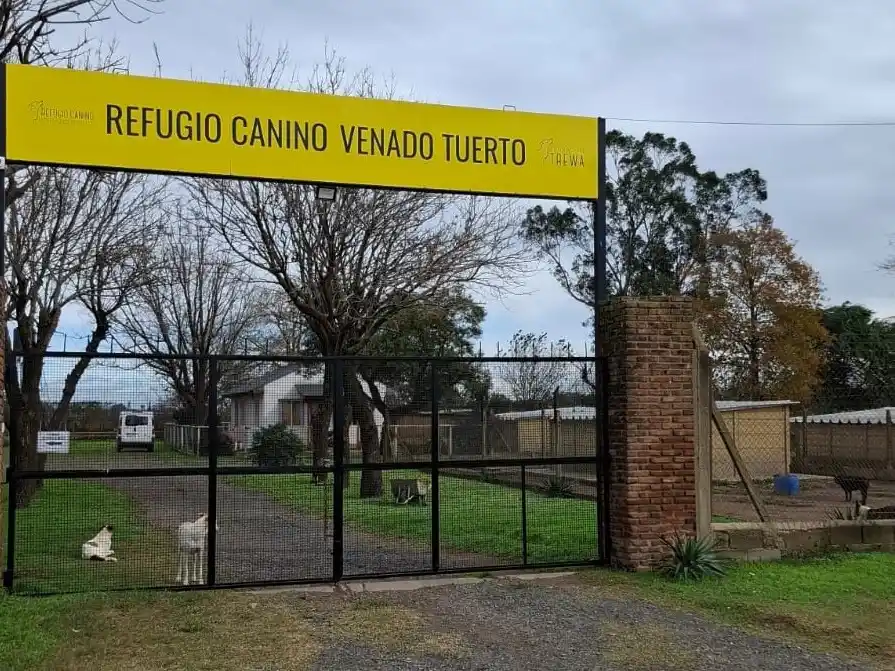 “Hoy cumplimos 26 años abriendo las puertas del refugio, y también las del corazón", expresan en su mensaje. Foto: Gentileza.
