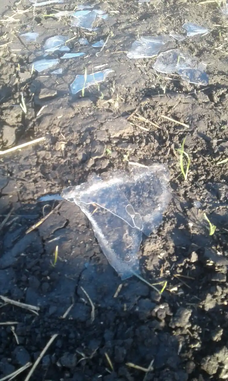 La helada tiñó de blanco el suelo entrerriano