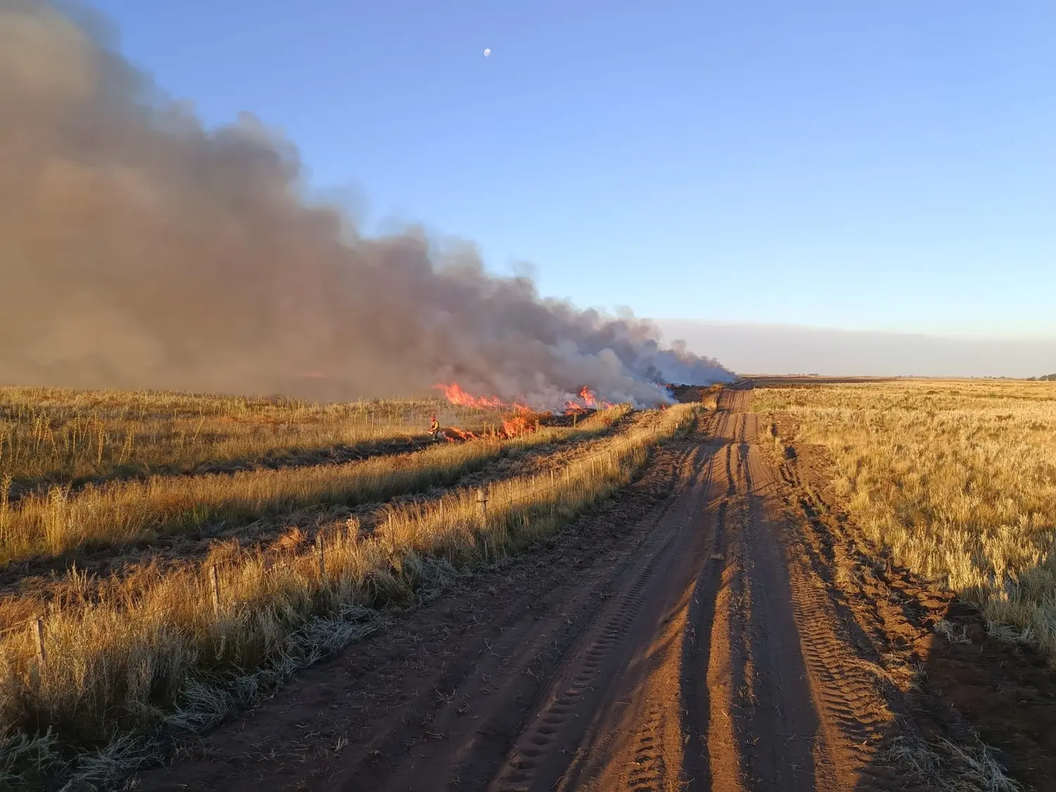 En el territorio bonaerense el fuego afectó unas 20 mil hectáreas de campo, en lo que va del mes de enero (Imagen gentileza del Ministerio de Seguridad)