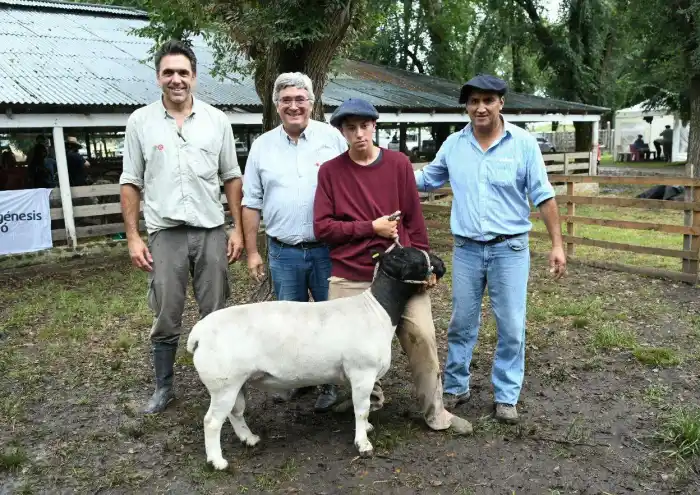 Para la Provincia, el Estado nacional es la oveja negra